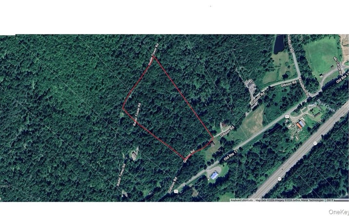 Pictures of Land, Special Purpose property located at Gibson Road, Hancock, NY 13783 for sales - image #1