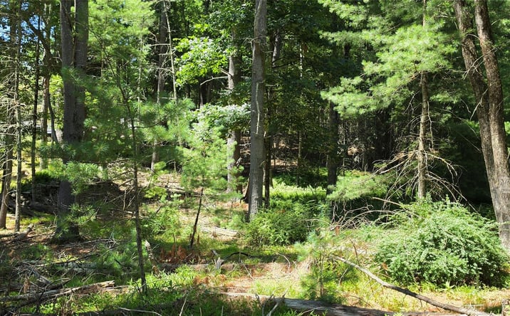 Pictures of Land property located at Lot # 7 Irishtown Road, Narrowsburg, NY 12764 for sales - image #1