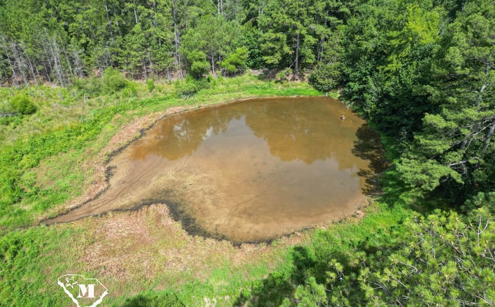 Pictures of Land property located at 450 Plum Branch Road, Edgefield, SC 29824 for sales - image #1