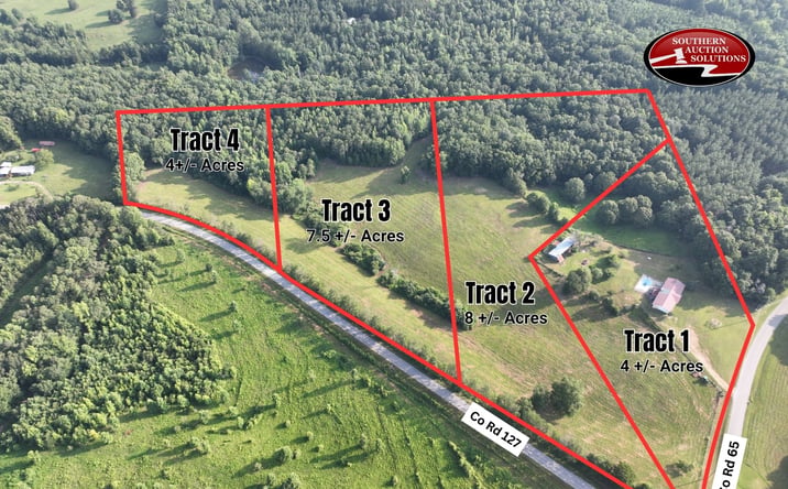 Pictures of Land property located at 10359 County Road 65, Roanoke, AL 36274, County Road 127, Roanoke, AL 36274, County Road 127, Roanoke, AL 36274, County Road 127, Roanoke, AL 36274 for sales - image #1