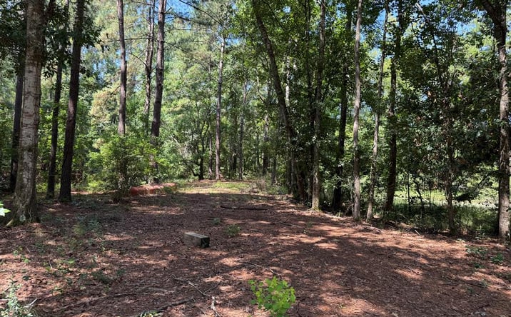 Pictures of Land, Multifamily property located at 11 Skipper Road, Picayune, MS 39466 for sales - image #1
