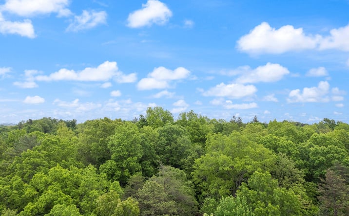Pictures of Land property located at 16 Clay-Alexander Road, Campton, KY 41301 for sales - image #1