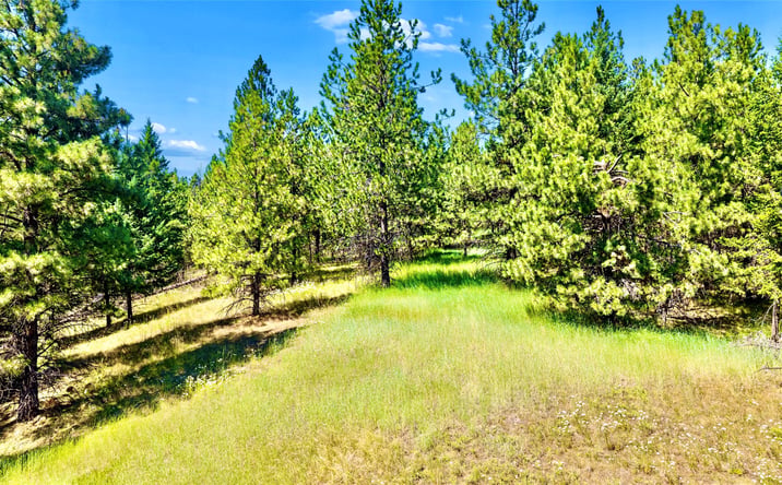 Pictures of Land property located at NHN N Rolling Hills Road, EUREKA, MT 59917 for sales - image #1