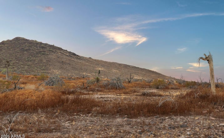 Pictures of Land property located at N 17th Avenue -, Phoenix, AZ 85086 for sales - image #1