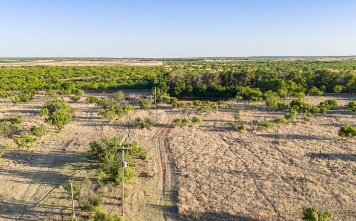Pictures of Mixed Use, Land property located at County Road 239, Afton, TX 79220 for sales - image #1