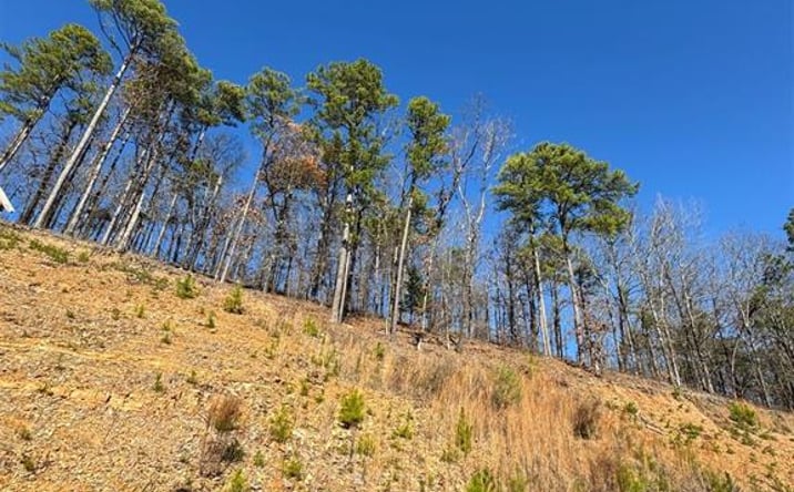 Pictures of Land property located at 253 WESTERN PINE TR, BROKEN-BOW, OK 74728 for sales - image #1