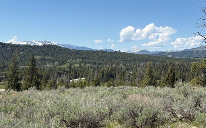 Pictures of Land property located at NHN MT Highway 279, LINCOLN, MT 59639 for sales - image #1