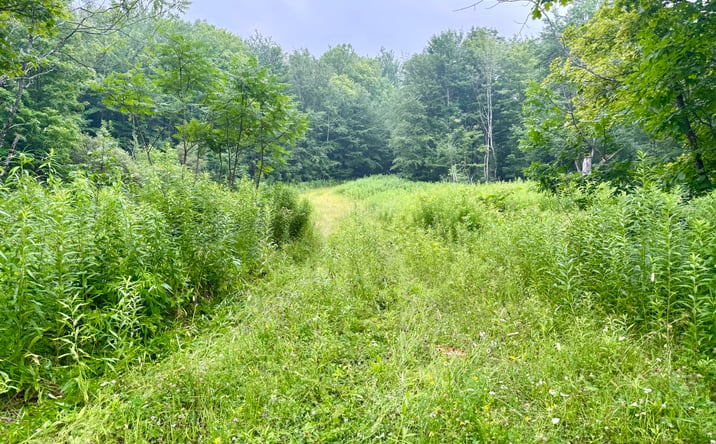 Pictures of Land property located at 174 High Peak Road, Windham, NY 12496 for sales - image #1