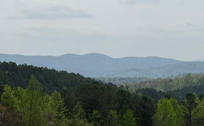 Pictures of Land property located at 1100 Fuller Mountain Road, Fairmount, GA 30139 for sales - image #1