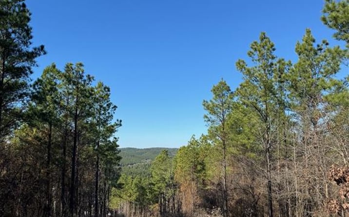 Pictures of Land property located at 63 ACORN CT, BROKEN-BOW, OK 74728 for sales - image #1