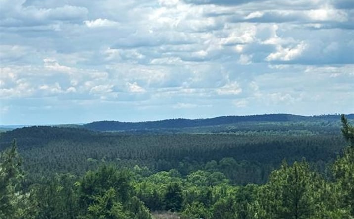 Pictures of Land property located at 75 Sliding Hill Trail, Broken Bow, OK 74728 for sales - image #1