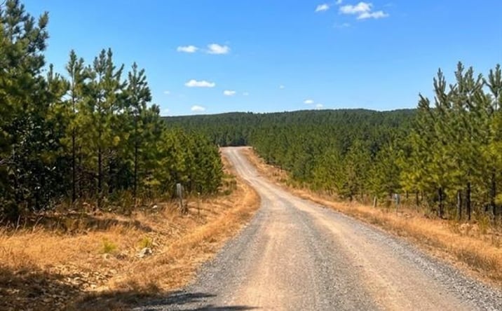 Pictures of Land property located at 68 SOUTHERN SPRUCE TR, BROKEN-BOW, OK 74728 for sales - image #1