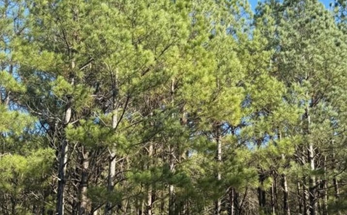 Pictures of Land property located at 31 Dawnview Way Trail, Broken Bow, OK 74728 for sales - image #1