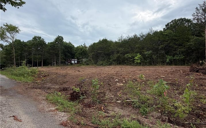 Pictures of Land, Multifamily property located at 278 N Millwood Street, Shell Knob, MO 65747 for sales - image #1