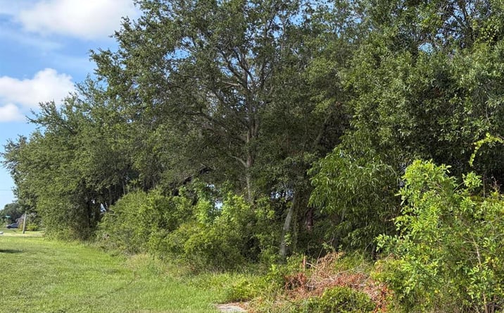 Pictures of Land property located at 0 SW Darwin Boulevard, Port St. Lucie, FL 34953 for sales - image #1