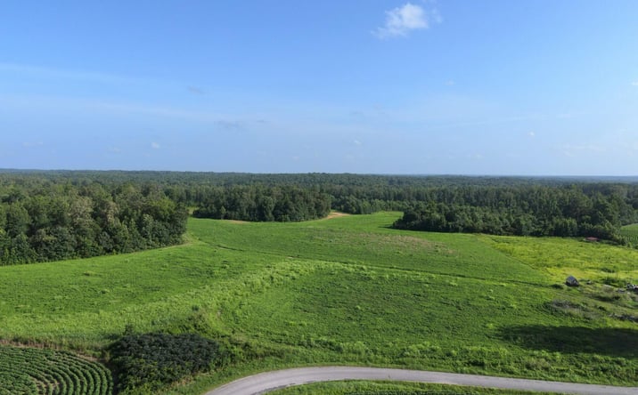 Pictures of Land property located at E Sulphur Springs Rd Road, Cedar Grove, TN 38321 for sales - image #1