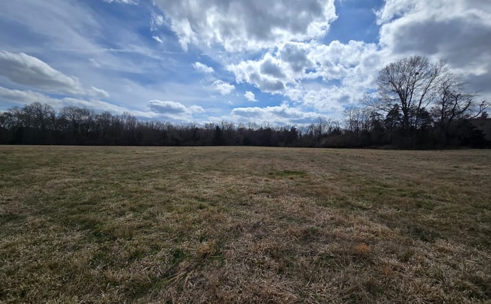 Pictures of Land property located at 000 Caney Creek Rd, Conway, AR 72032 for sales - image #1