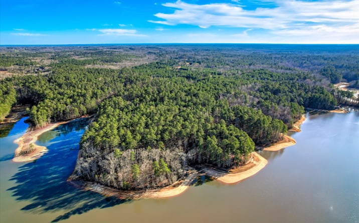 Pictures of Land property located at Ben Lane, Lincolnton, GA 30817 for sales - image #1