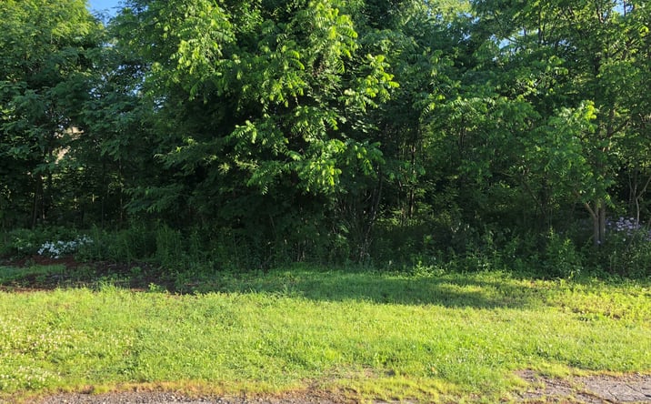 Pictures of Land property located at 80 Hayes Street, Torrington, CT 06790 for sales - image #1