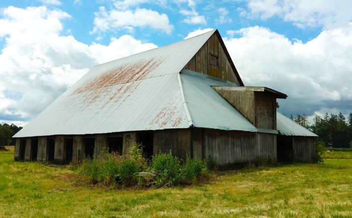 Pictures of Land property located at 16515 NE 58th St, Vancouver, WA 98682 for sales - image #1