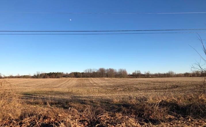 Pictures of Land property located at Grove Rd, Lansing, MI 48906 for sales - image #1