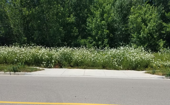 Pictures of Mixed Use, Retail property located at 6204 Nesbitt Rd, Fitchburg, WI 53719 for sales - image #1