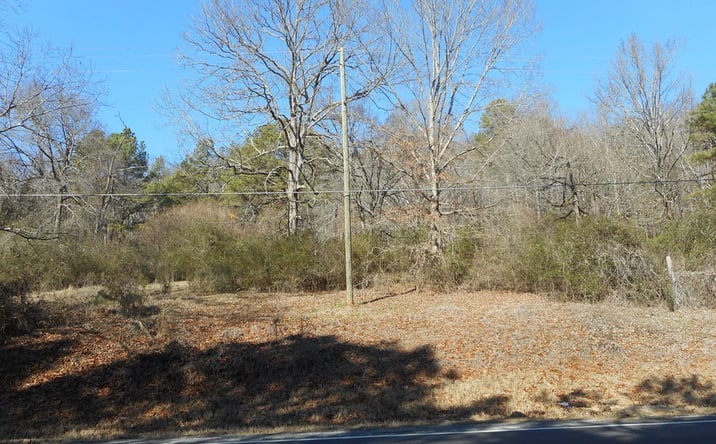 Pictures of Land property located at 8034 US Hwy 11, Springville, AL 35146 for sales - image #1
