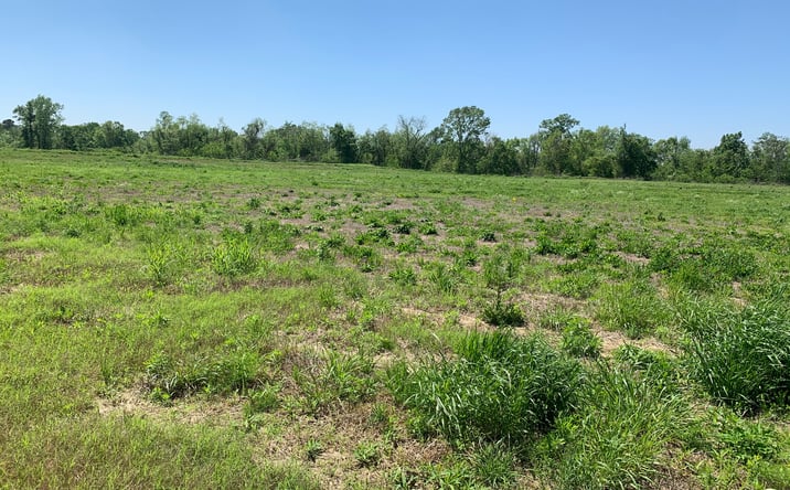 Pictures of Land property located at Lot E-2a Hedges Dev Hwy 61 South, Natchez, MS 39120 for sales - image #1