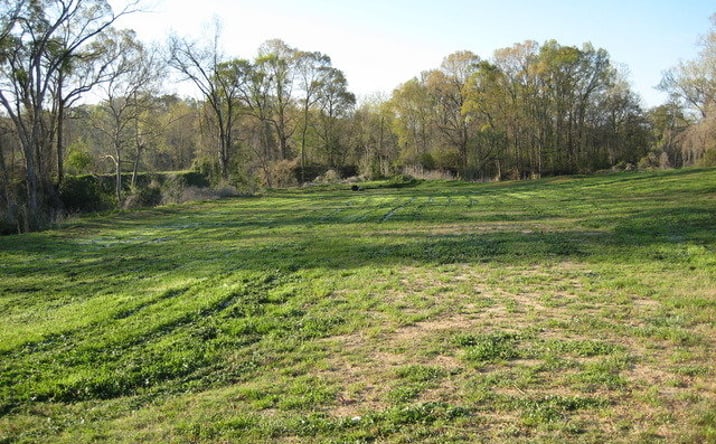 Pictures of Land property located at Lot 9 Beechwood, Natchez, MS 39120 for sales - image #1
