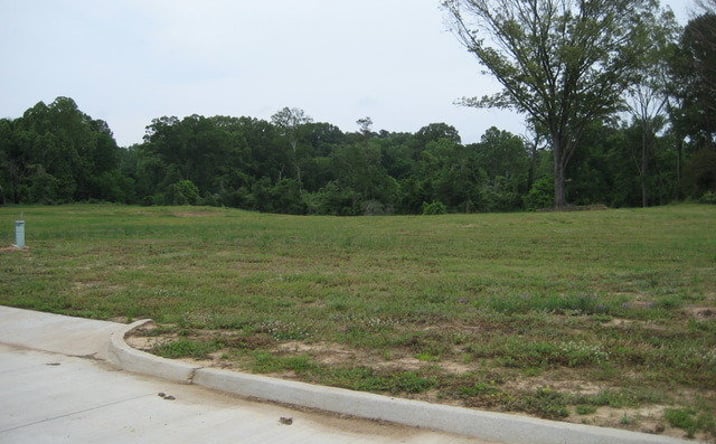 Pictures of Land property located at Lot 12 Beechwood, Natchez, MS 39120 for sales - image #1