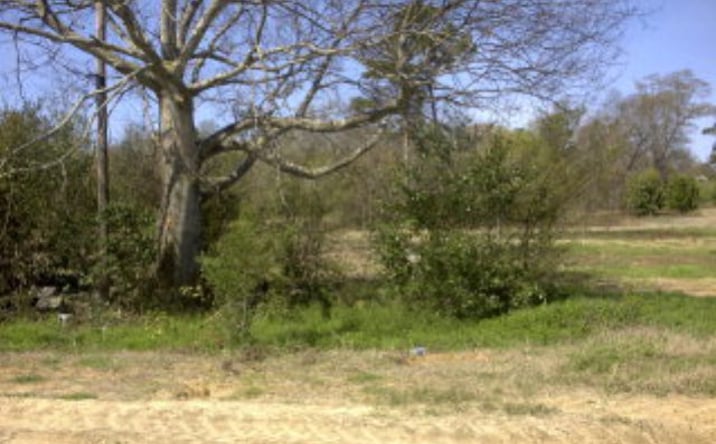 Pictures of Land, Retail property located at 3291 Broad Street, Sumter, SC 29150 for sales - image #1