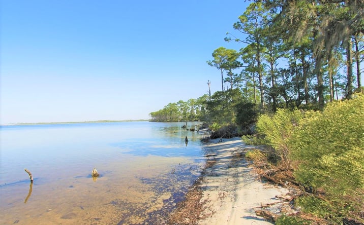 Pictures of Land property located at Clara Ave, Panama City Beach, FL 32407 for sales - image #1