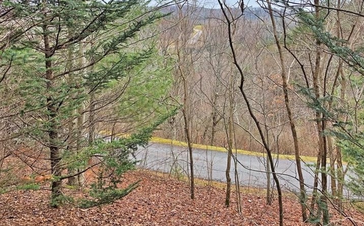 Pictures of Land property located at Lot 137 E Indrio Road, Blowing Rock, NC 28605 for sales - image #1