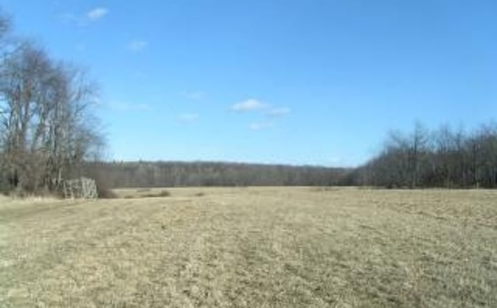 Pictures of Land property located at Reservoir Rd, Goshen, CT 06756 for sales - image #1