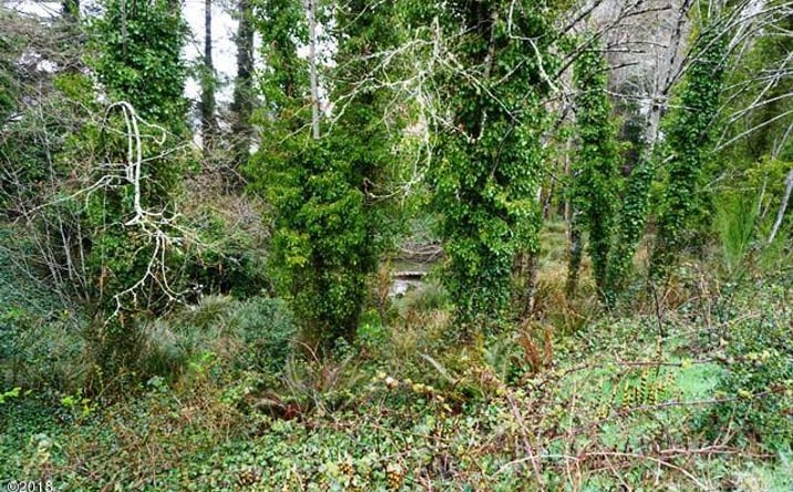 Pictures of Special Purpose property located at 3000 Blk SW HWY 101 TL 13602 & TL 13605, Lincoln City, OR 97367 for sales - image #1
