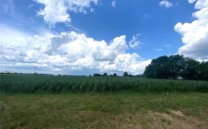 Pictures of Land property located at 0 Hwy 51, Perryville, MO 63775 for sales - image #1