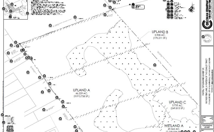 Pictures of Land property located at 161 Paso Fino Rd, Bloomingdale, GA 31302 for sales - image #1