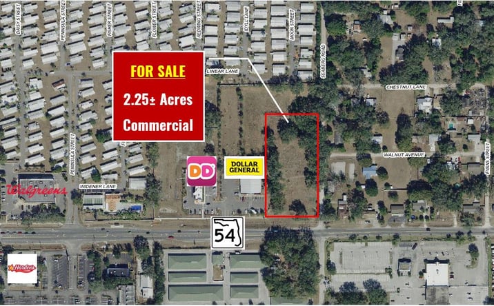 Pictures of Land property located at State Road 54 & Seaberg Road, Zephyrhills West, FL 33541 for sales - image #1