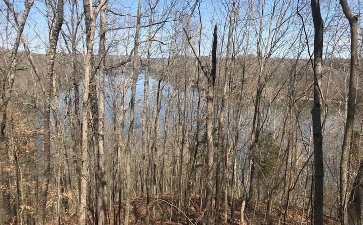 Pictures of Land property located at Marsh Rd, Smithville, TN 37166 for sales - image #1