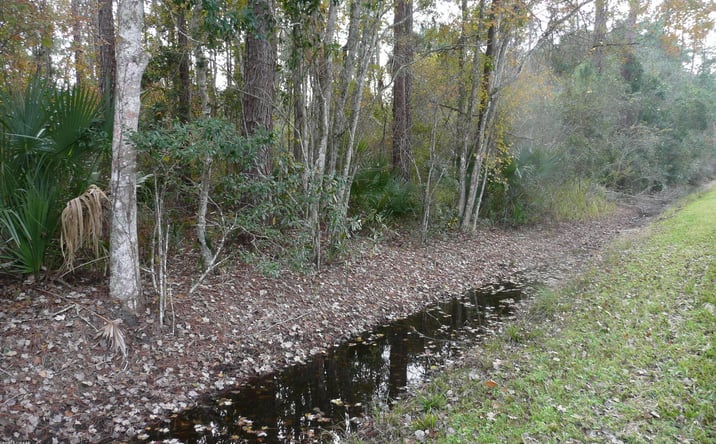 Pictures of Land property located at Old Deland Road, Daytona Beach, FL 32124 for sales - image #1
