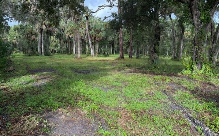 Pictures of Land, Industrial property located at Tionia Road, New Smyrna Beach, FL 32168 for sales - image #1