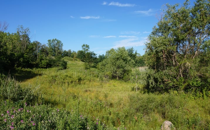 Pictures of Land property located at Timberlake & Brecksville Rd, Richfield, OH 44286 for sales - image #1