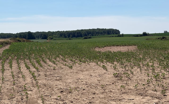 Pictures of Land property located at TBD E Broomfield Road, Mt Pleasant, MI 48858 for sales - image #1