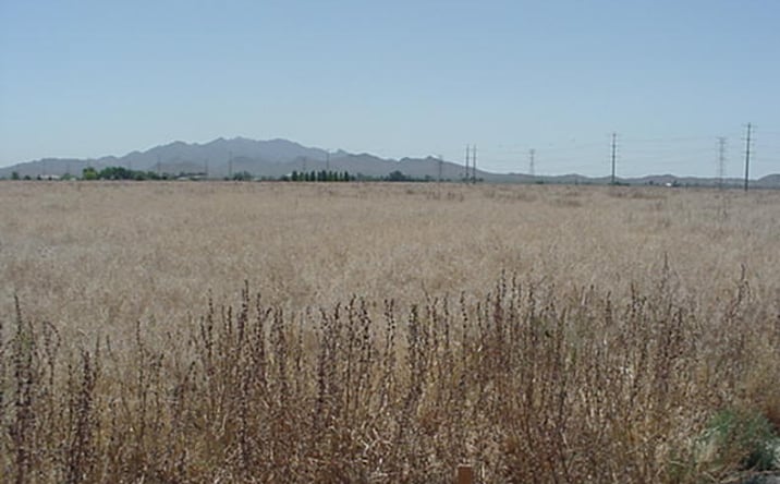 Pictures of Land property located at W Broadway Road & S Perryville Road, Goodyear, AZ 85338 for sales - image #1