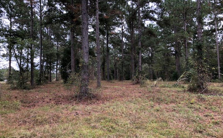 Pictures of Land property located at Wood Oak Cir, Cochran, GA 31014 for sales - image #1