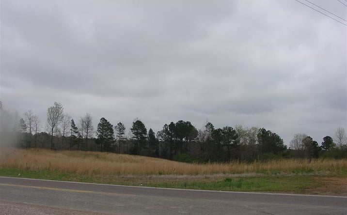 Pictures of Land property located at 10795 TN-57, Counce, TN 38326 for sales - image #1