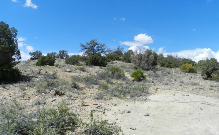 Pictures of Land property located at 5525 HOOD MESA Trail, Farmington, NM 87401 for sales - image #1
