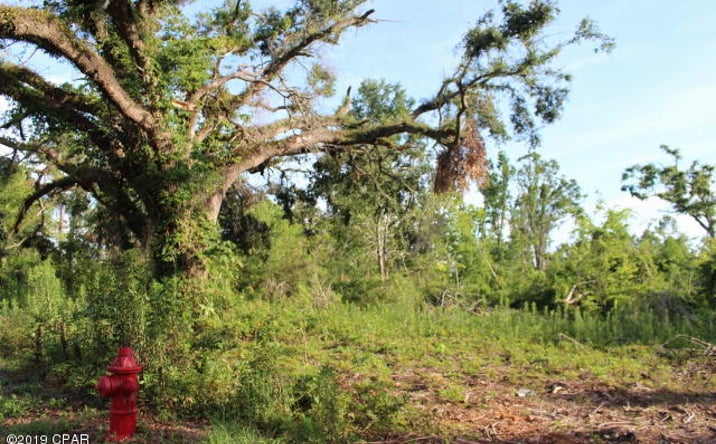 Pictures of Land property located at 0 Lafayette Street, Marianna, FL 32446 for sales - image #1