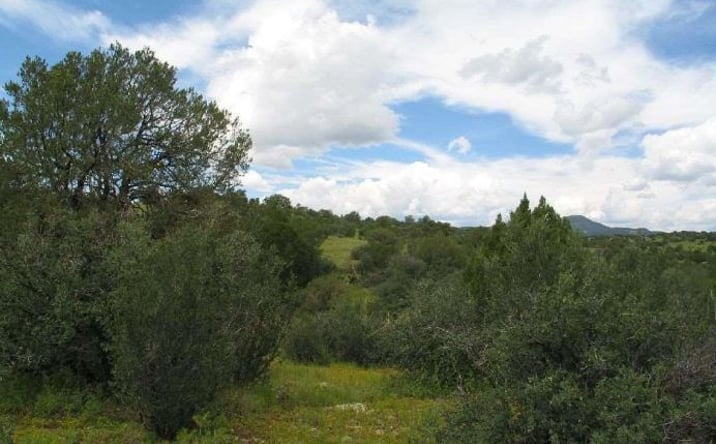 Pictures of Land property located at Tract C Xyz Ranch Road, Silver City, NM 88061 for sales - image #1