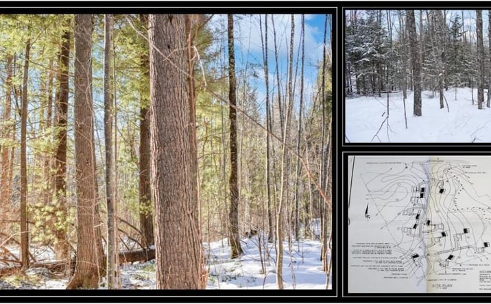 Pictures of Land property located at 62 Carriage Rd, Chestertown, NY 12817 for sales - image #1